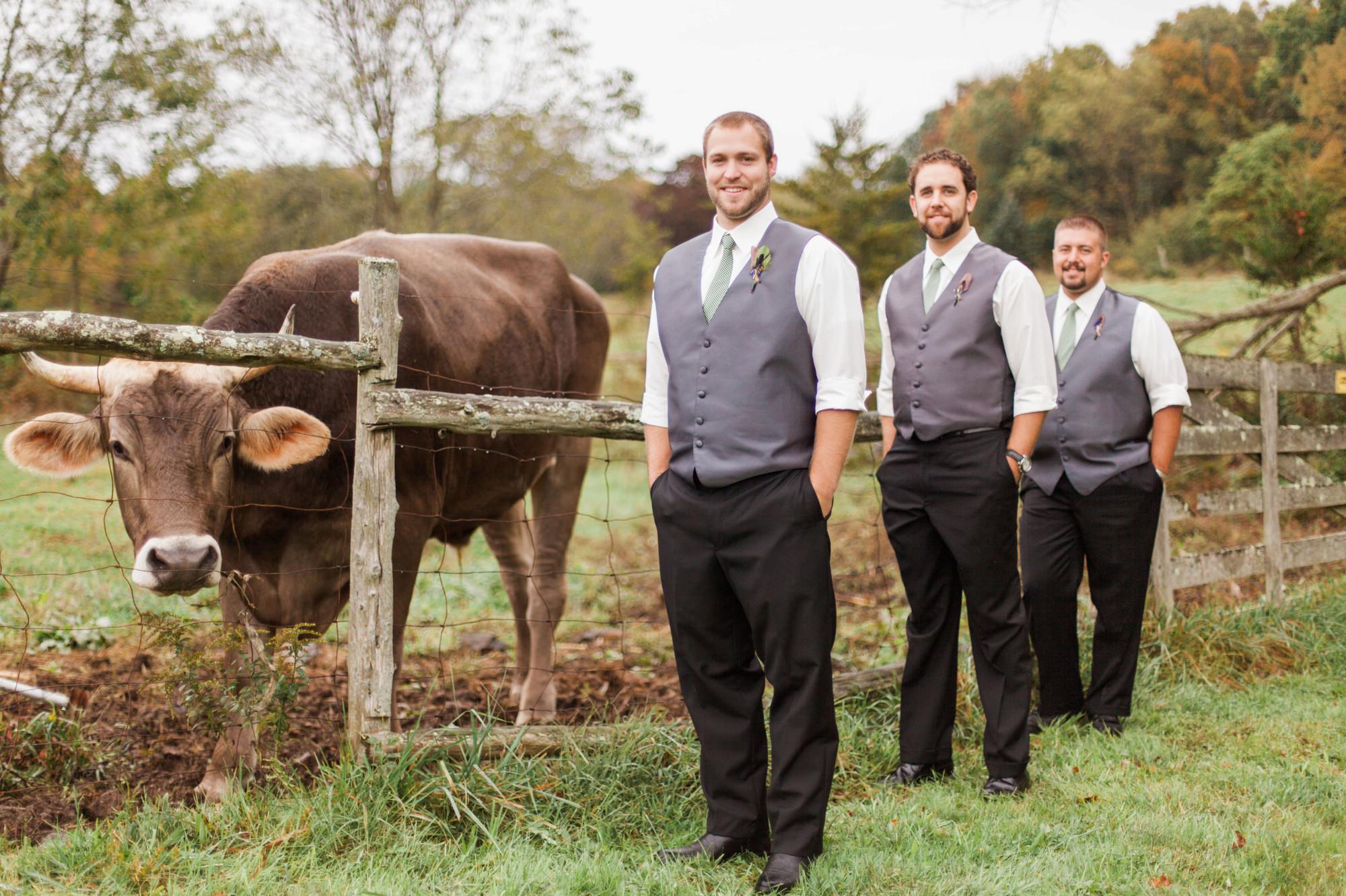groomsmen with oxen