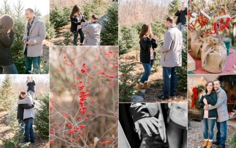 Published | Stephanie & Andrew’s Christmas Tree Farm Proposal